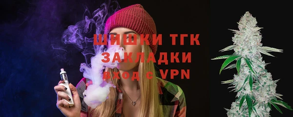 шишки Алексеевка