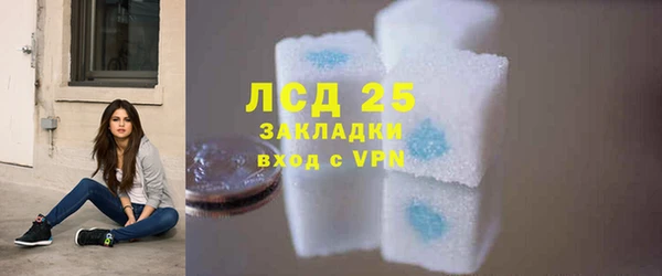 СК Алексин