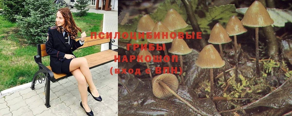 шишки Алексеевка