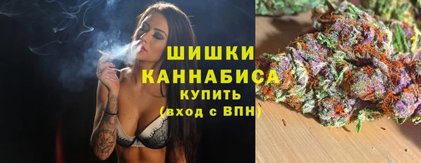 шишки Алексеевка