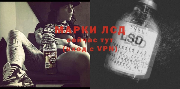 СК Алексин