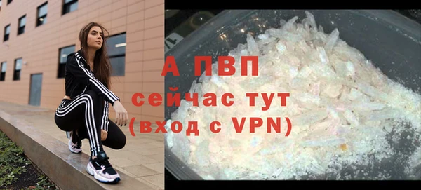 СК Алексин