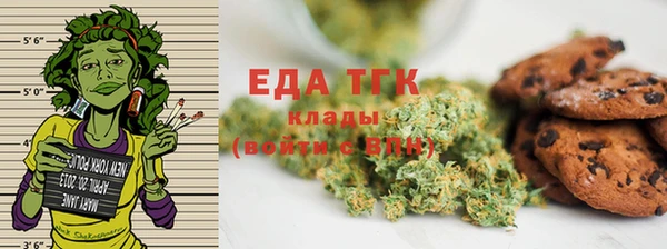 СК Алексин