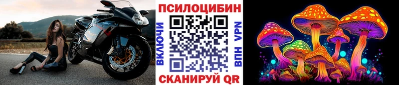 Купить закладки  Малаховка  Галлюциногенные грибы MAGIC MUSHROOMS 